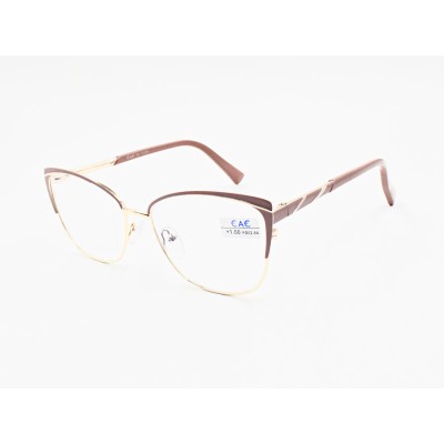 Готовые очки 6841 plus С4